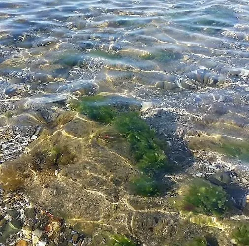 Apartamento студио изгрев