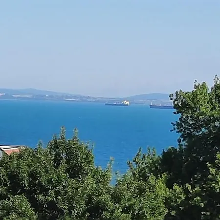 студио изгрев Apartment